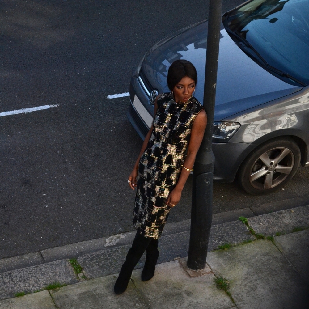 Metallic Mandarin Collar Dress